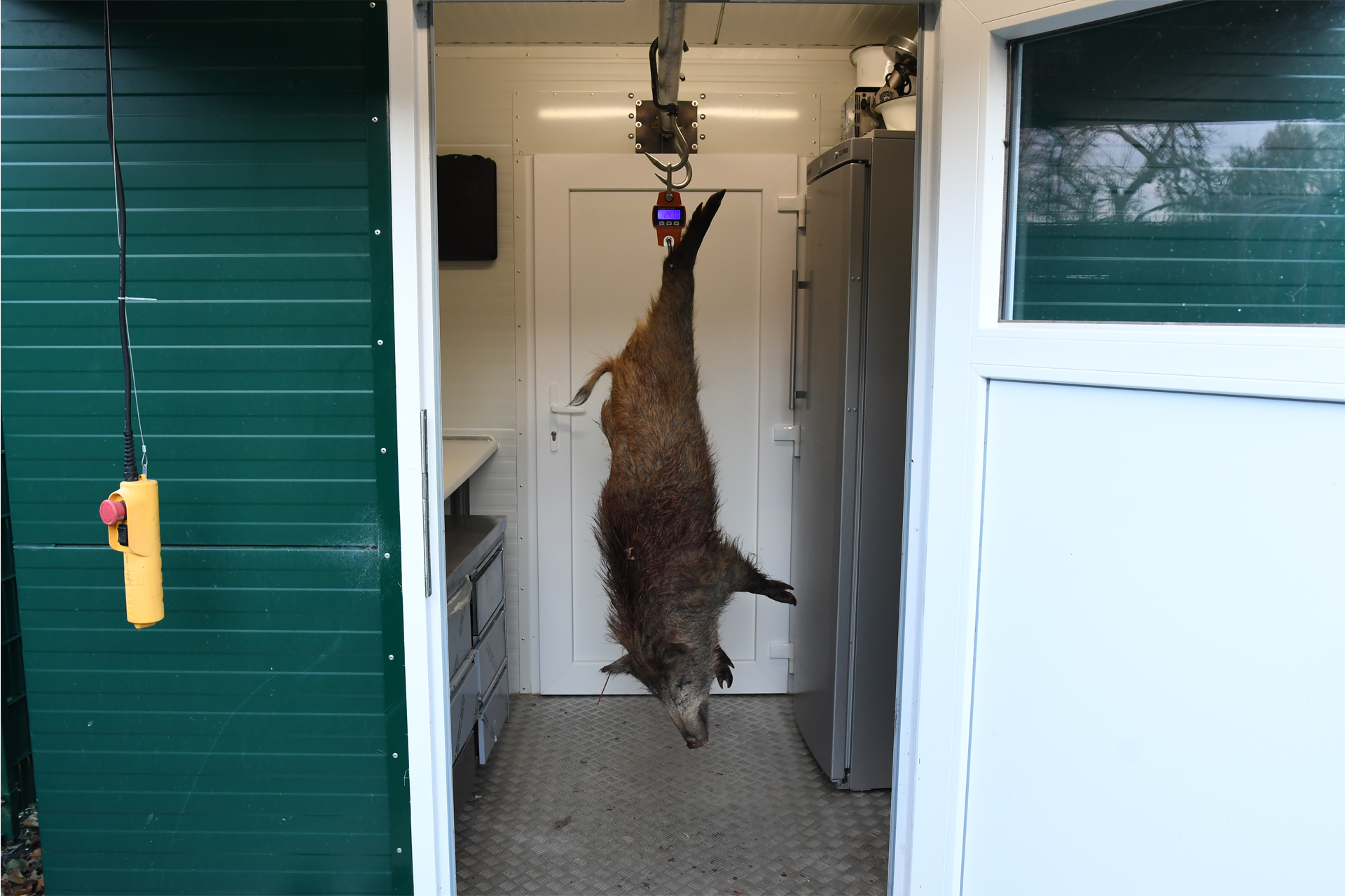 Digitale Wildwaage bis 300kg