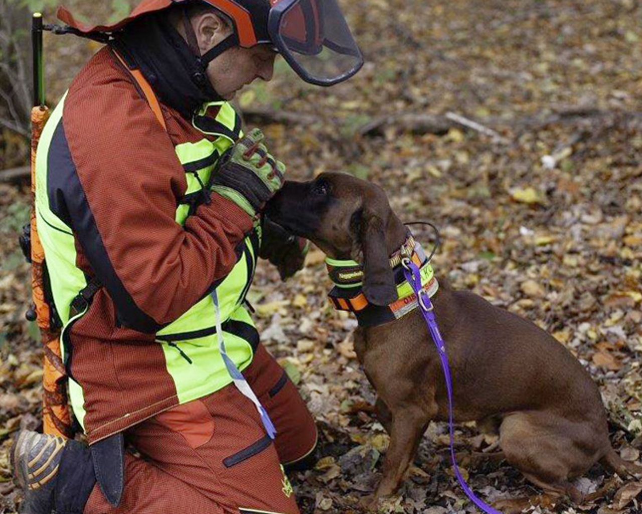 Francital Cerbere-Handschuhe Grün-Pink 9