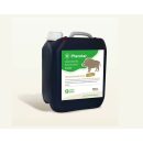 Pherotar - Buchenholzteer mit Pheromonen 2,5 Liter