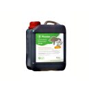 Pinotar - Buchenholzteer Plus mit Pinienöl 2,5 Liter