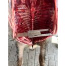 Wildspreizer aus rostfreiem Edelstahl von Jäger-Visions, verstellbar von 270 bis 390 mm